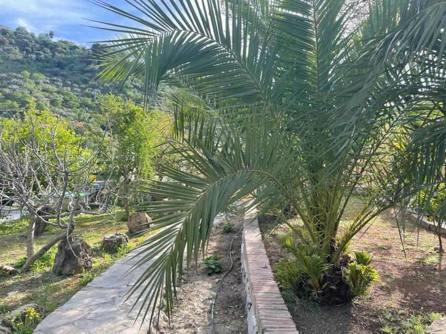 דירות The Nook At מונדה מראה חיצוני תמונה