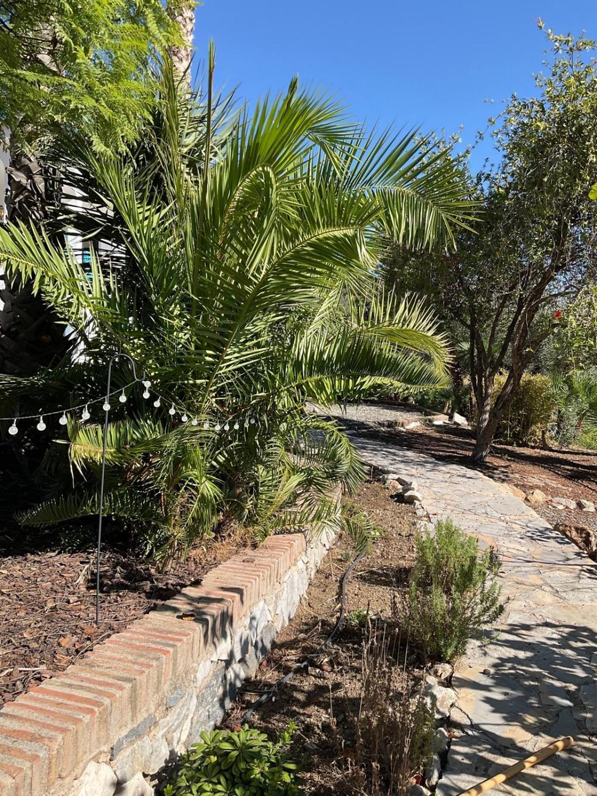 דירות The Nook At מונדה מראה חיצוני תמונה